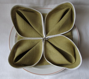 Napkin Folding for Plates
