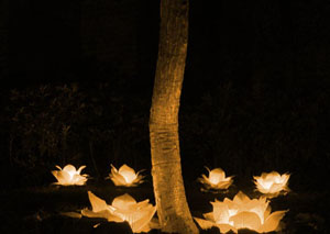 Floating flower lanterns 