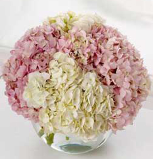 Unique bridal bouquet -hydrangena