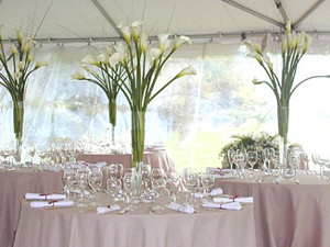 popular-wedding-flowers-calla-lilies