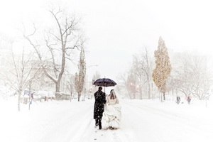 winter wedding shine